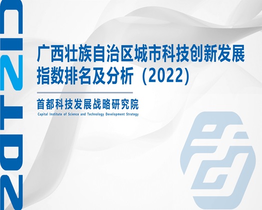 中国肥胖美女日逼录像【成果发布】广西壮族自治区城市科技创新发展指数排名及分析（2022）